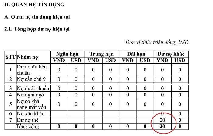 Trường hợp có nợ xấu