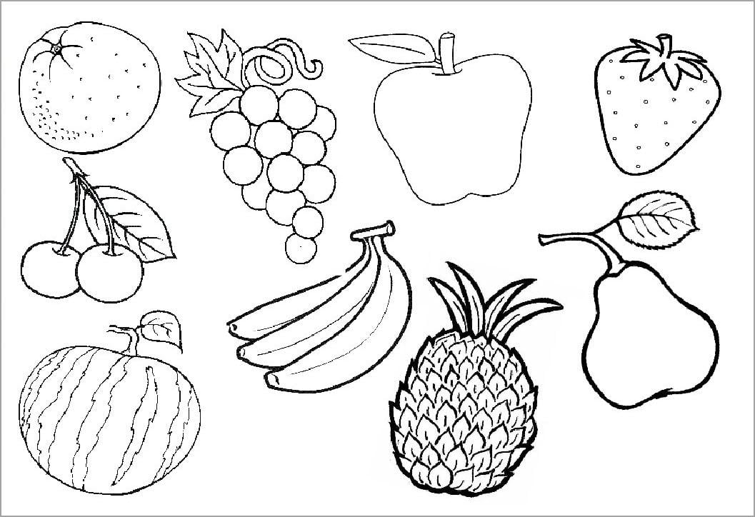 Image result for hình hoa quả cho bé tập tô màu  Fruit coloring pages  Coloring pages Tree coloring page