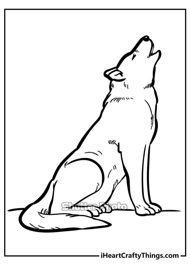 Hướng dẫn cách vẽ con chó sói bằng bút chì đơn giản nhất