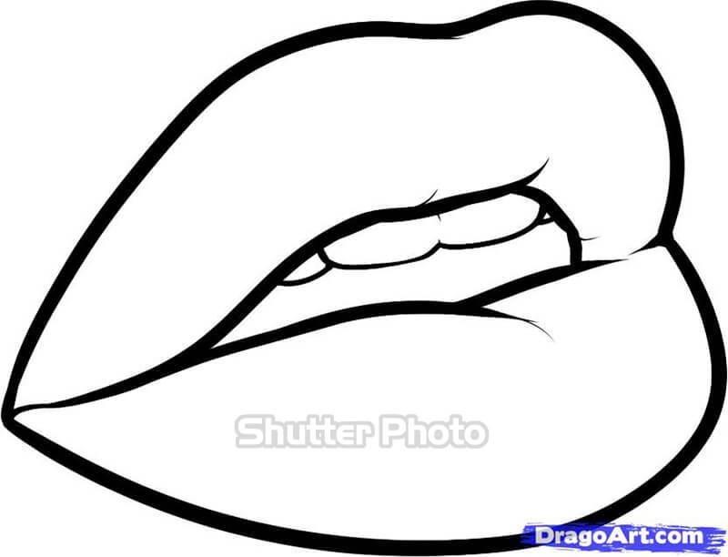 Hình ảnh Miệng Cười đen Trắng Minh Họa Phác Thảo Bản Vẽ Phác Thảo Vectơ PNG   Vẽ Tham Khảo Miệng Phác Thảo Tài Liệu Tham Khảo Miệng Phác Thảo Tham  Khảo