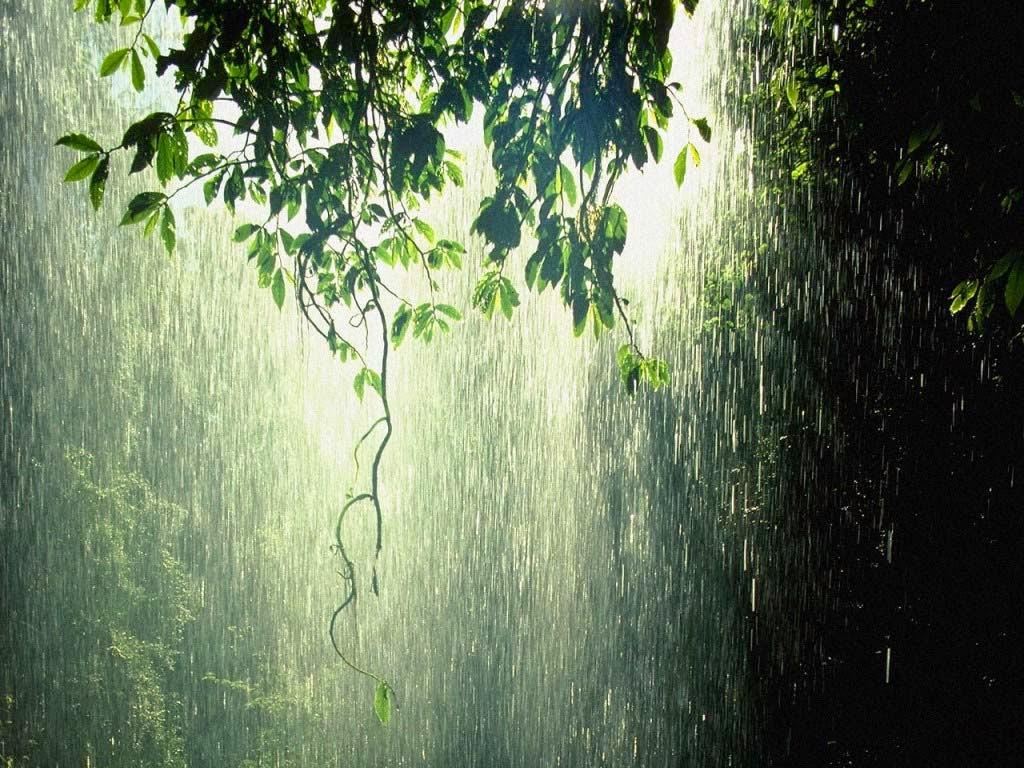 81 ý tưởng hay nhất về Ngày mưa | hình ảnh, phong cảnh, ngày mưa