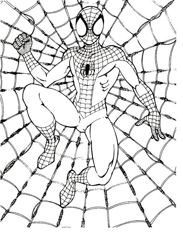 Chibi Spiderman on the leg Hon tattoo | Spiderman tattoo, Marvel tattoos,  Nerdy tattoos