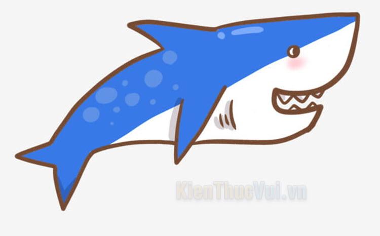Tranh Tô Màu Cá Mập Đẹp Sinh Động Cute Đơn Giản Vô Đối   c3nguyentatthanhhpeduvn